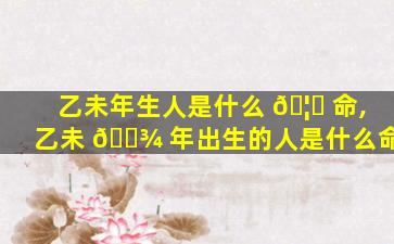 乙未年生人是什么 🦊 命,乙未 🌾 年出生的人是什么命